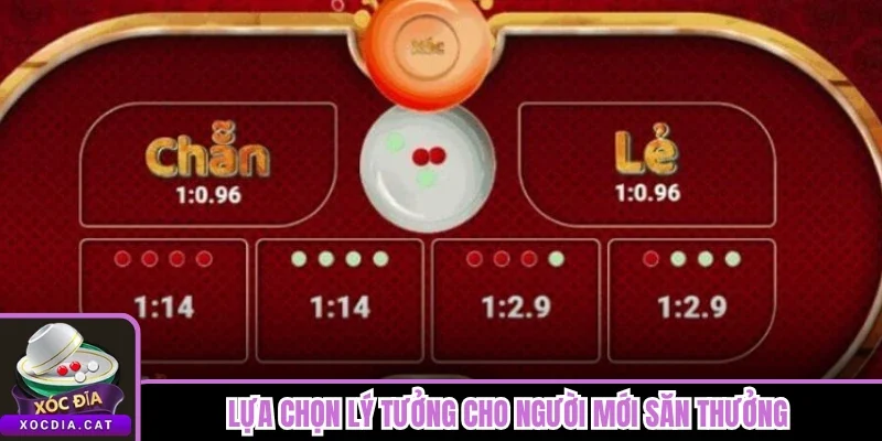 Lựa chọn lý tưởng cho người mới săn thưởng 
