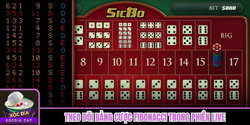 Theo dõi bảng cược Fibonacci trong phiên live